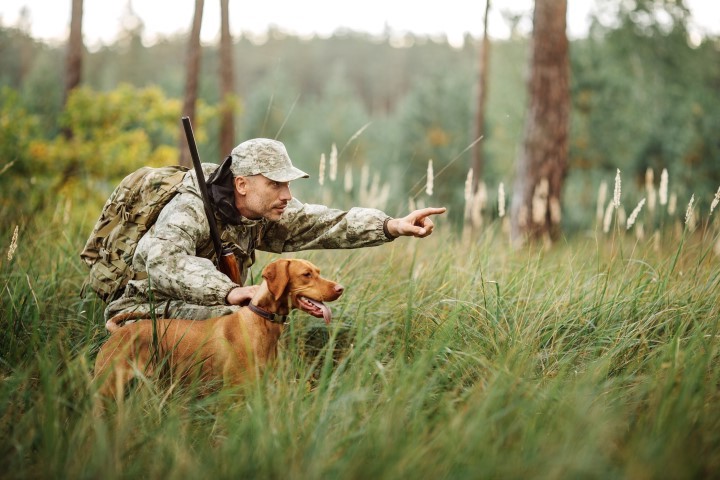 Hunter with Rifle and Dog in forest